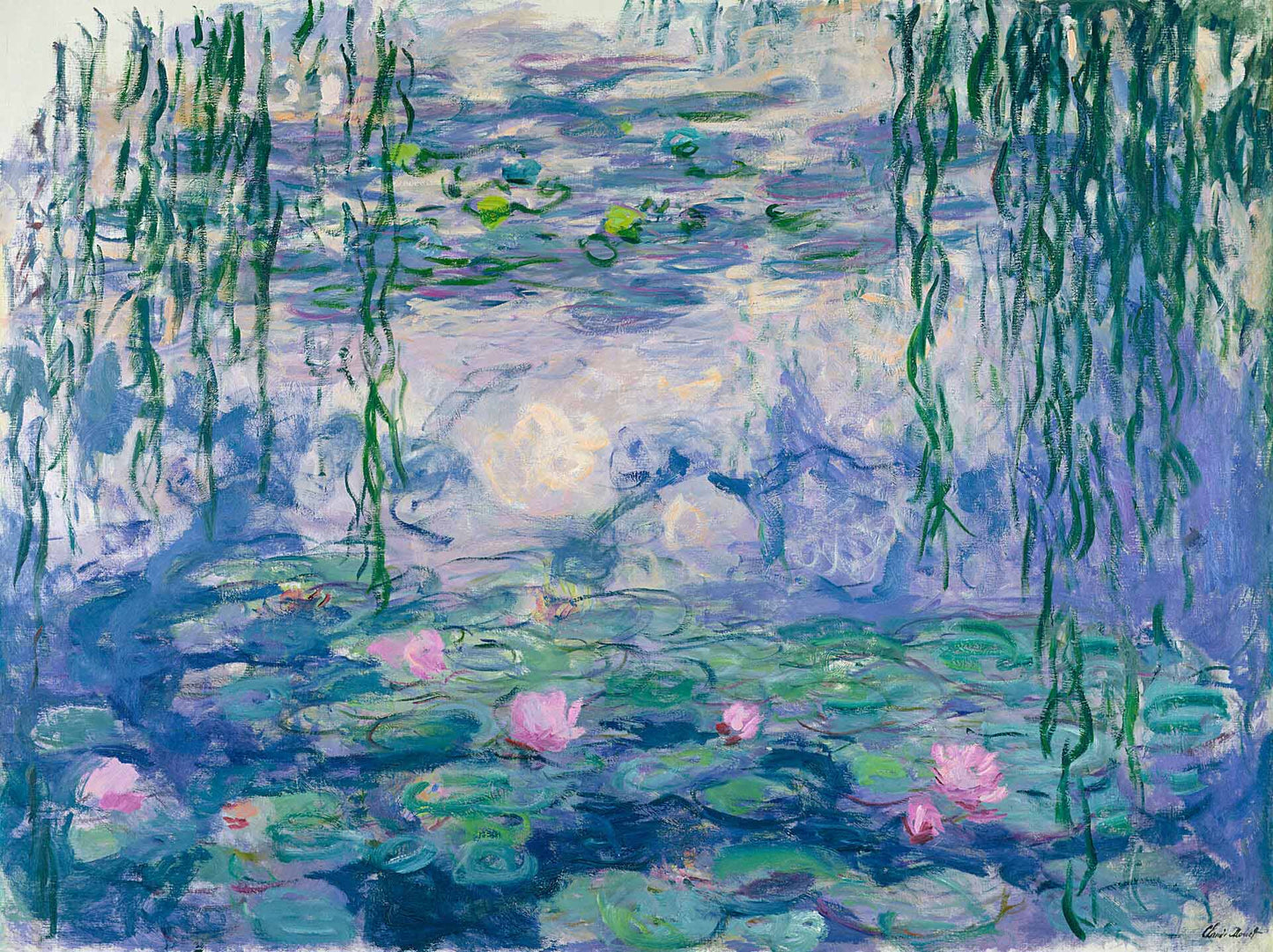 Water lilies